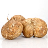 Củ sắn (củ đậu), sản phẩm hữu cơ